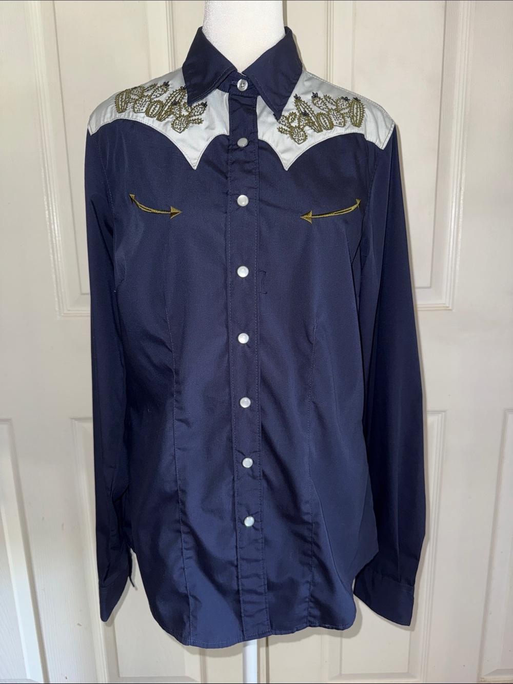 Cruel Denim Cactus Embroidered Pearl Snap Western Shirt